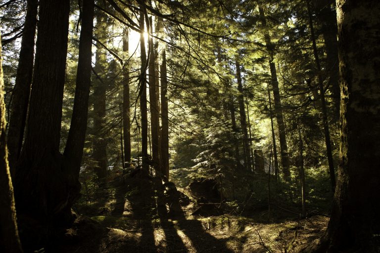 Co zabrać pod namiot? 10 rzeczy, które warto spakować na biwak