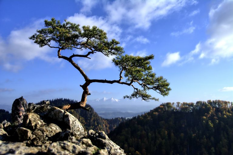 Kiedy najkorzystniej cenowo szukać noclegu w Szczawnicy?