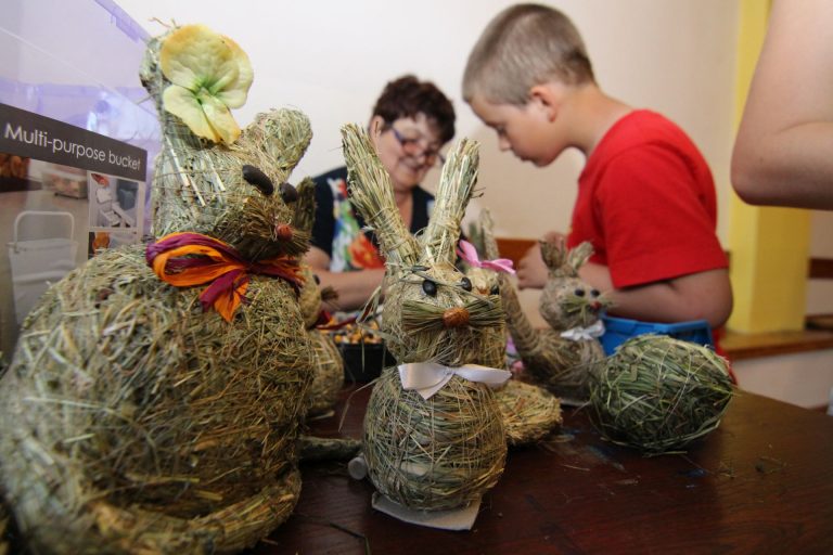 Aktywne zielone szkoły