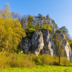 Jura Krakowsko-Częstochowska