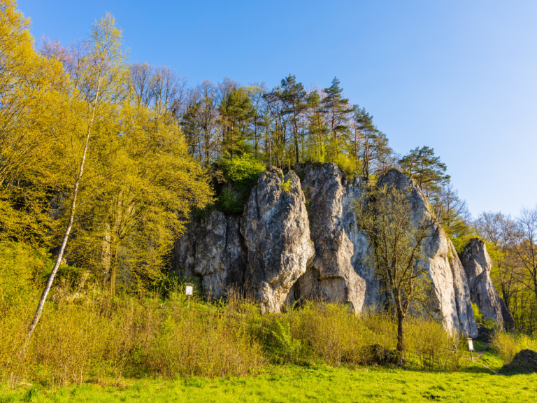 Jura Krakowsko-Częstochowska