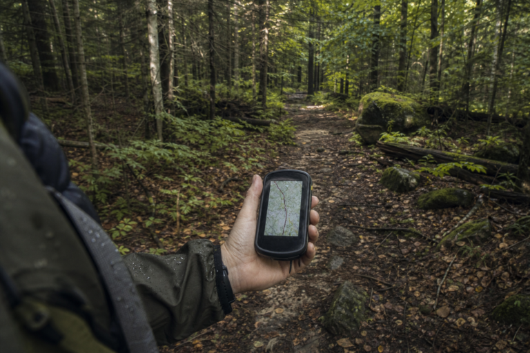 Turysta trzyma nawigację GPS na leśnej ścieżce podczas wyprawy